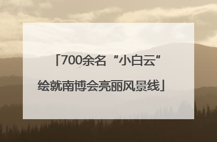 700余名“小白云”绘就南博会亮丽风景线