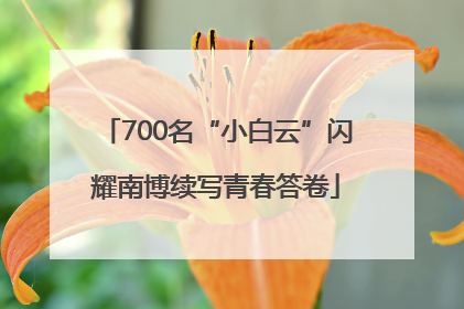 700名“小白云”闪耀南博续写青春答卷