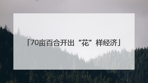 70亩百合开出“花”样经济