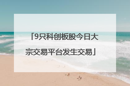 9只科创板股今日大宗交易平台发生交易