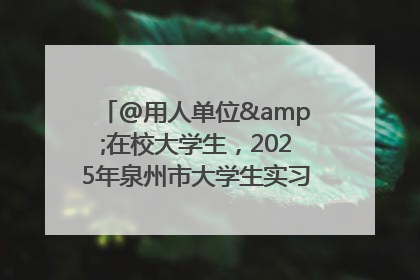 @用人单位&在校大学生，2025年泉州市大学生实习“扬帆计划”来啦！