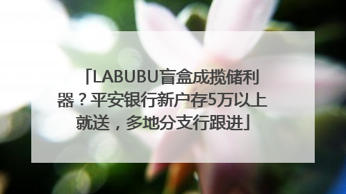 LABUBU盲盒成揽储利器？平安银行新户存5万以上就送，多地分支行跟进