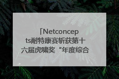 Netconcepts耐特康赛斩获第十六届虎啸奖“年度综合服务商”大奖